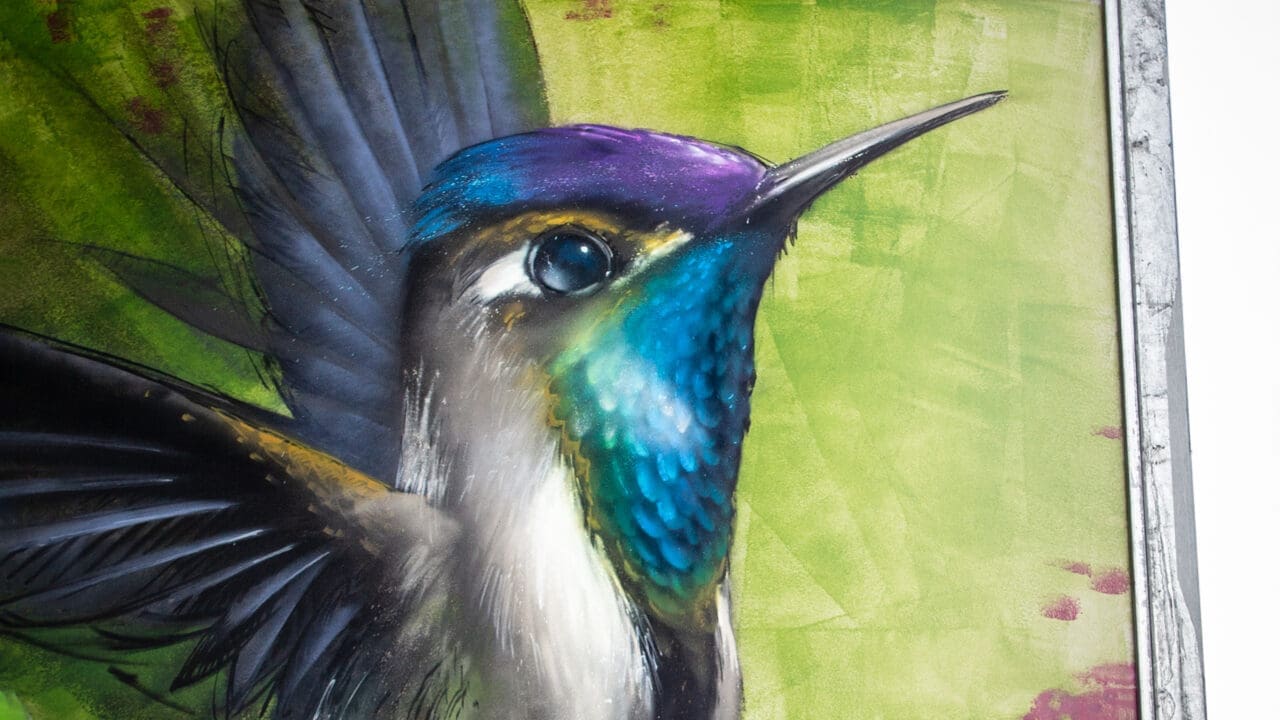 Kolibri Graffiti auf Trennwand
