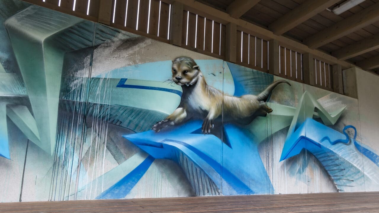 Freiluftküche mit Thaya und Otter-Graffiti, blau